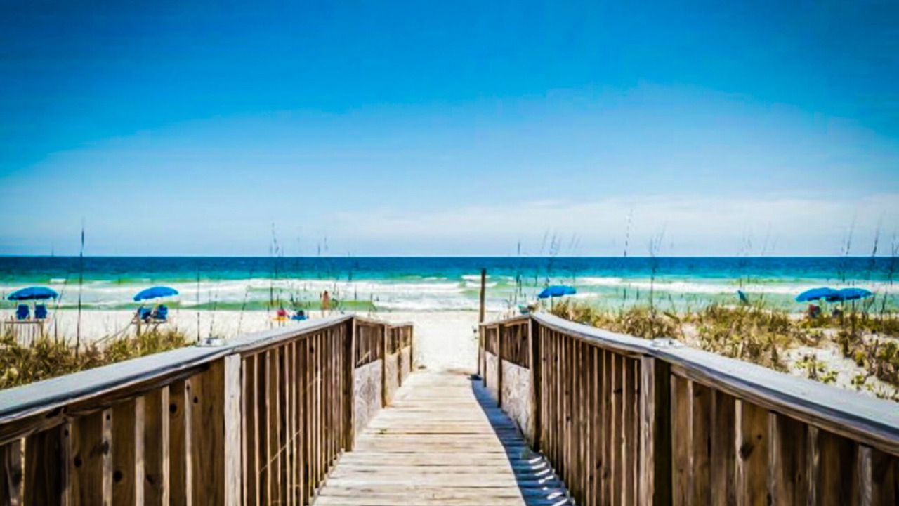 Photo of Others in Orange Beach East