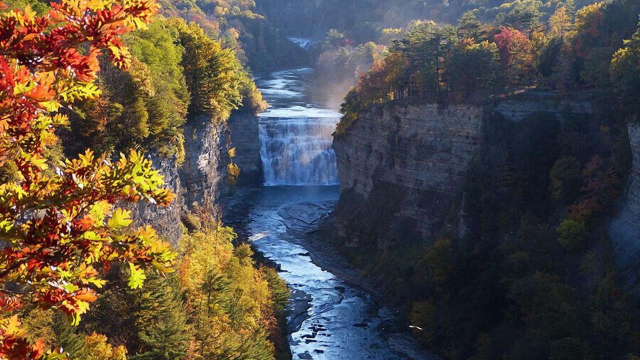 Photo of Others in Swain