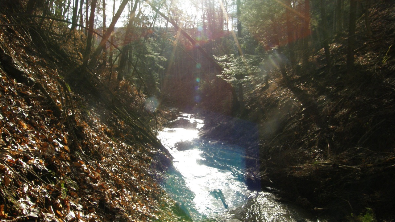 Photo of Others in Swain