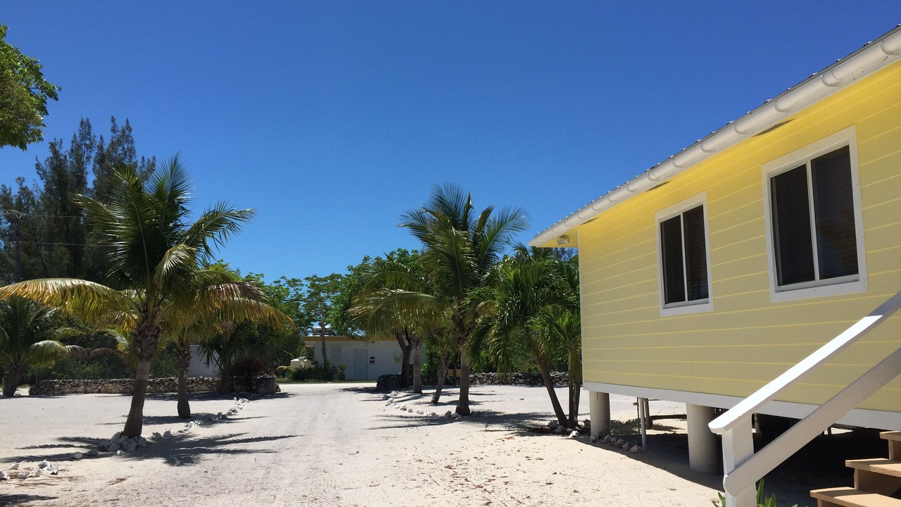 Photo of Outdoor in Port Royal