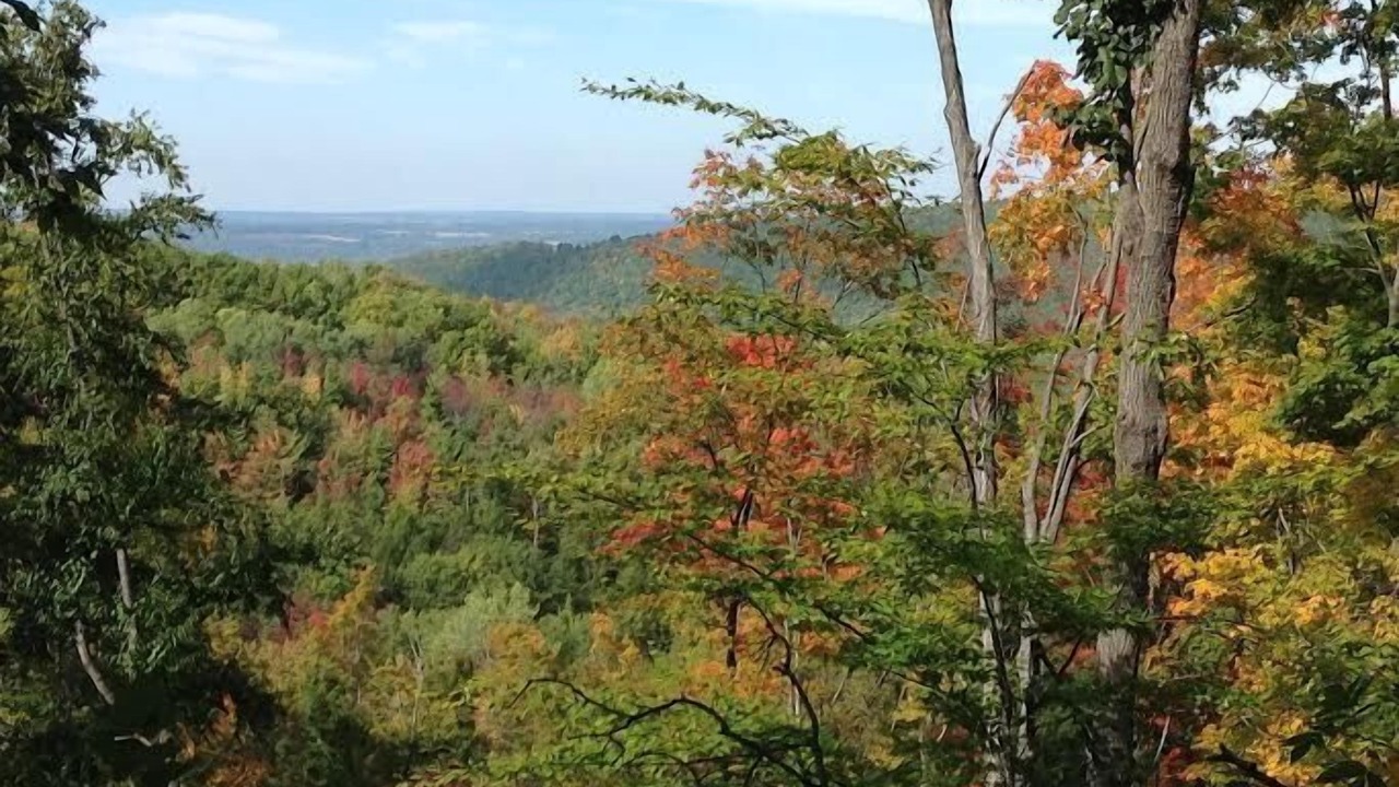 Photo of Others in Swain