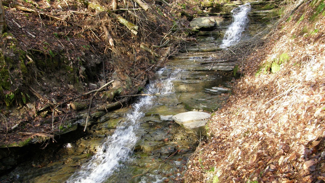 Photo of Others in Swain