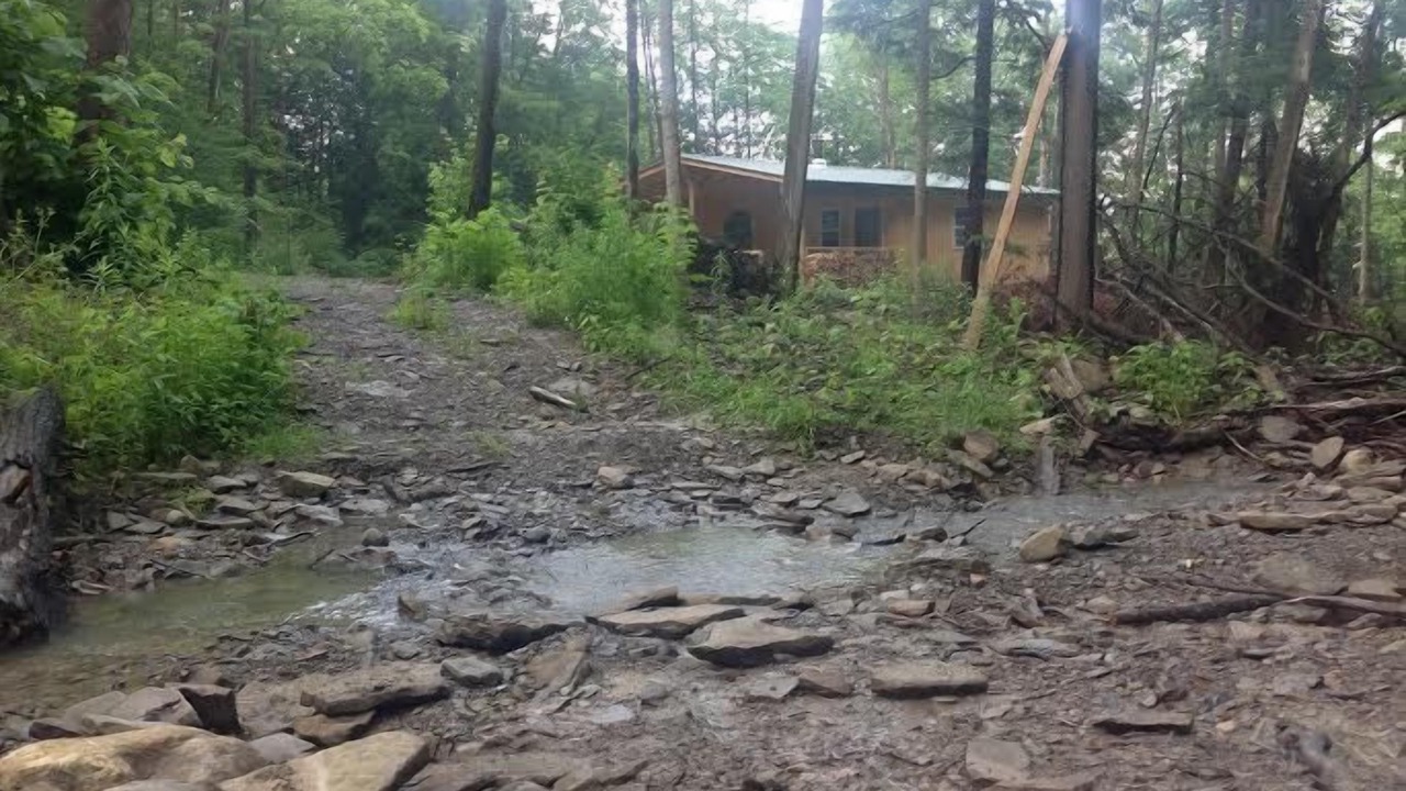 Photo of Outdoor in Swain