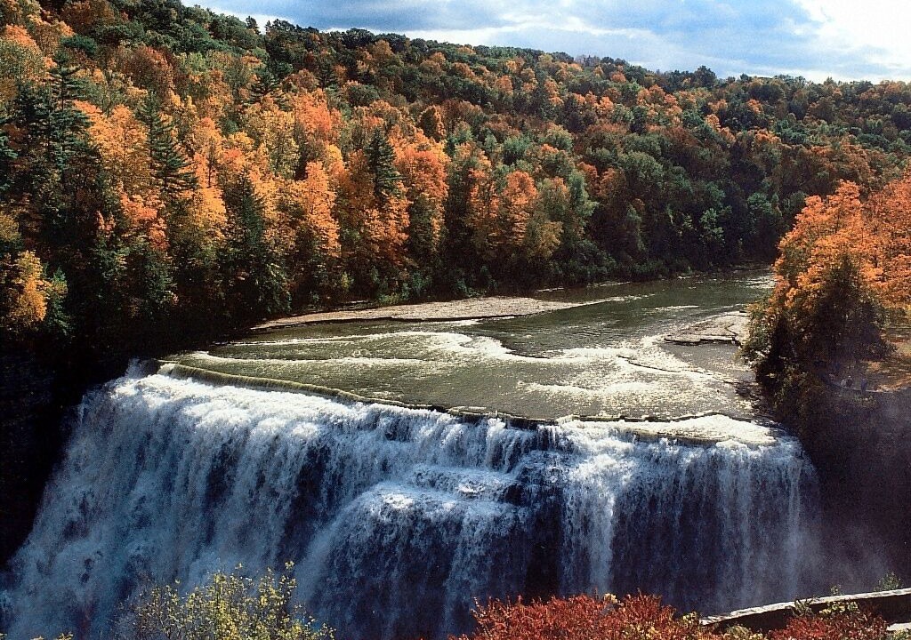 Photo of Others in Swain