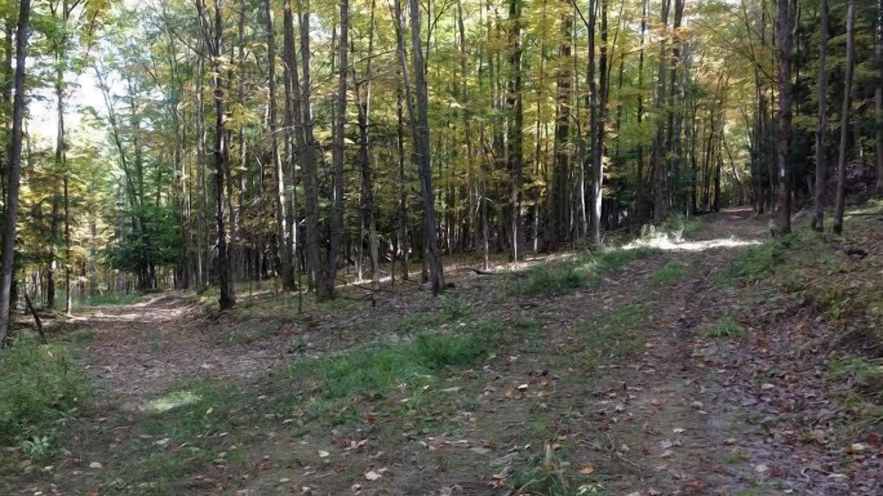 Photo of Outdoor in Swain