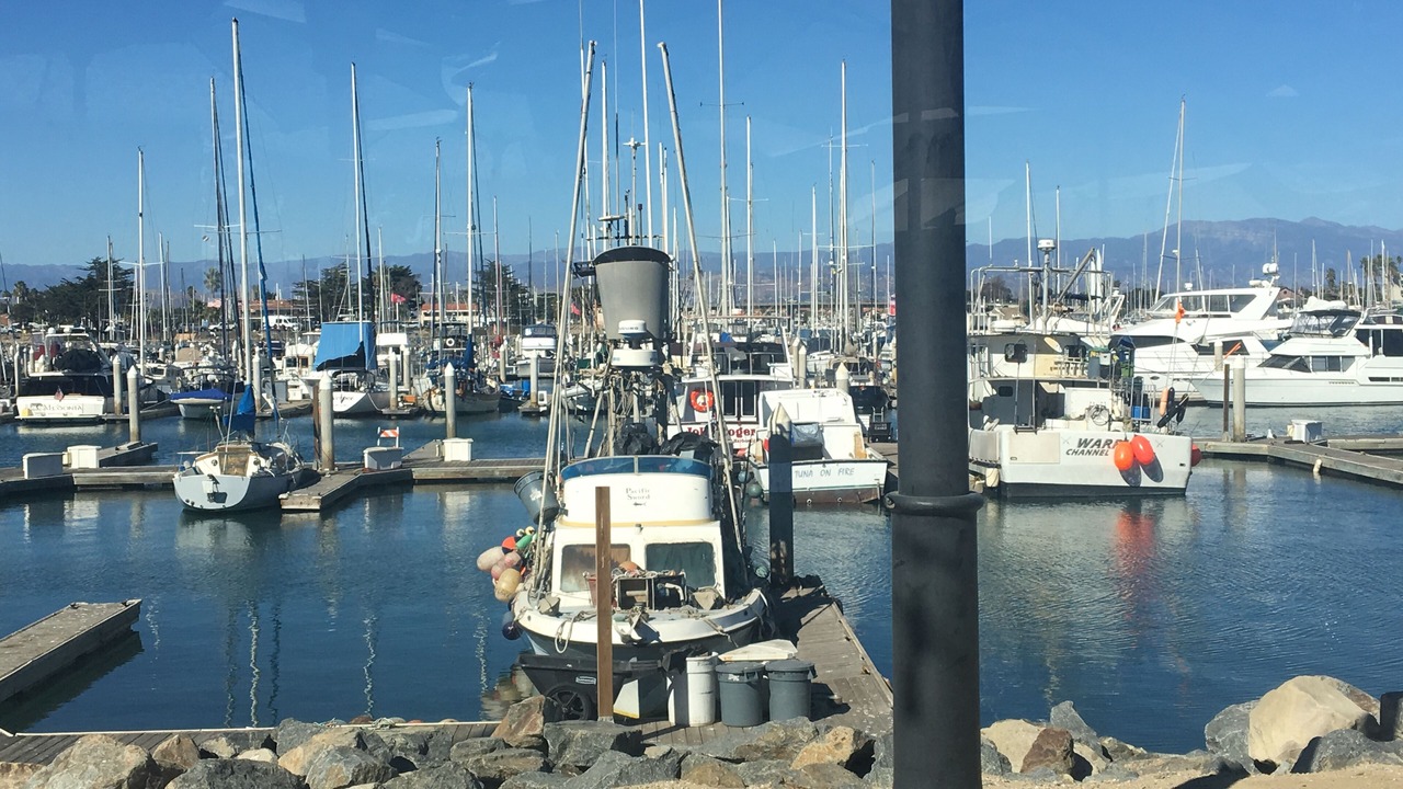 Photo of Others in Oxnard Shores