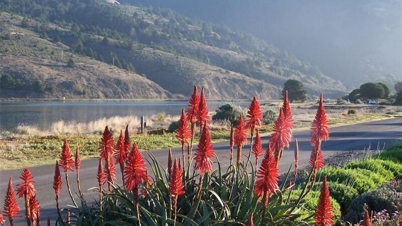 Photo of Others in Stinson Beach