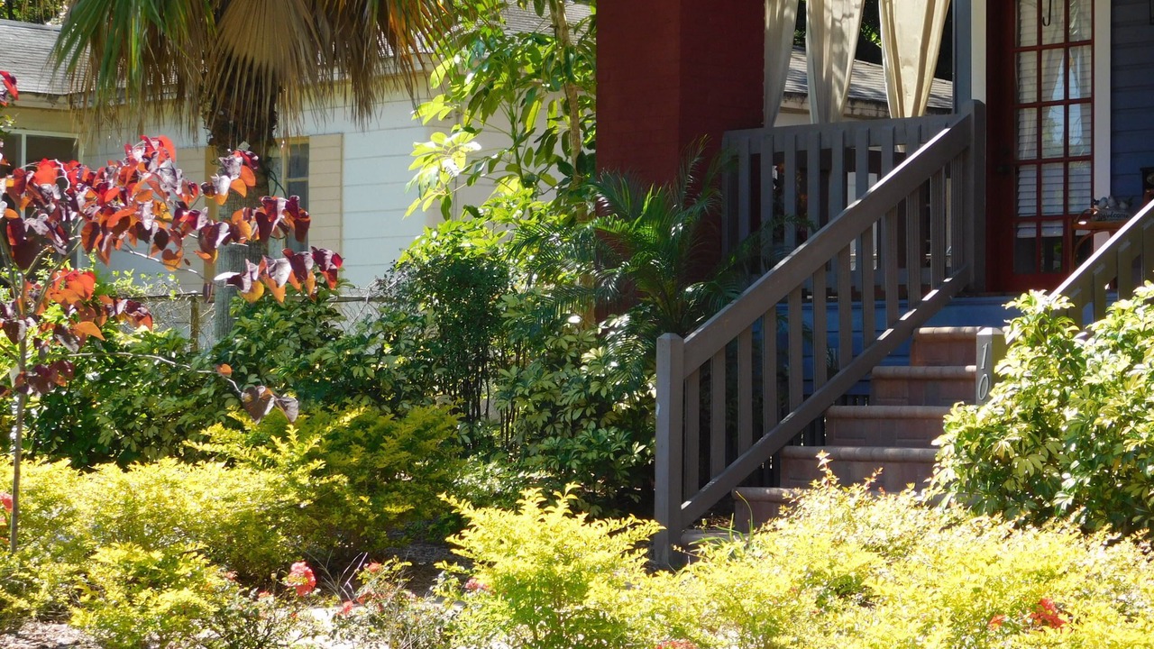 Photo of Outdoor in Old Seminole Heights