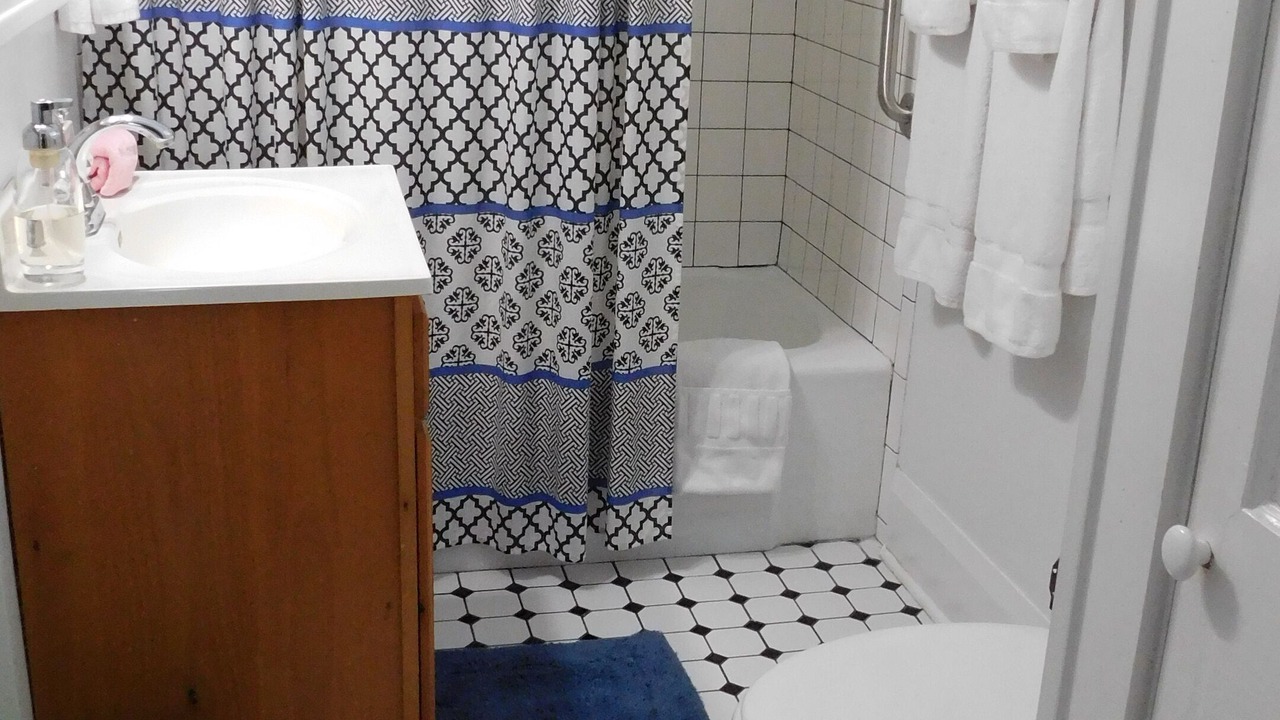 Photo of Bathroom in Old Seminole Heights