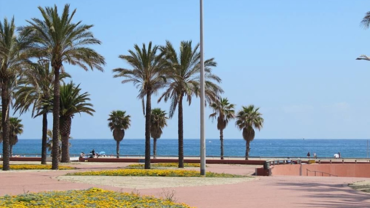 Photo of Others in Sant Adria de Besos
