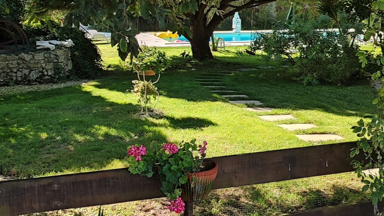 Photo of Outdoor in Alcobaca