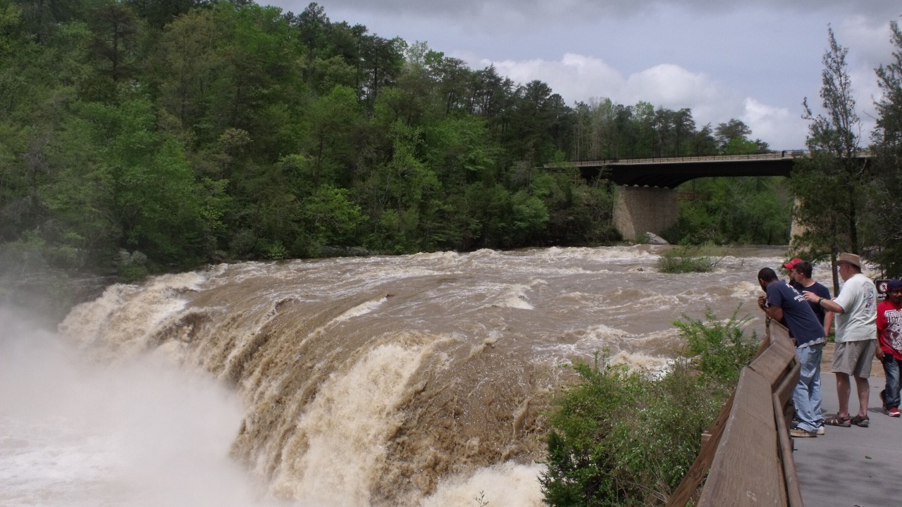 Photo of Others in Mentone