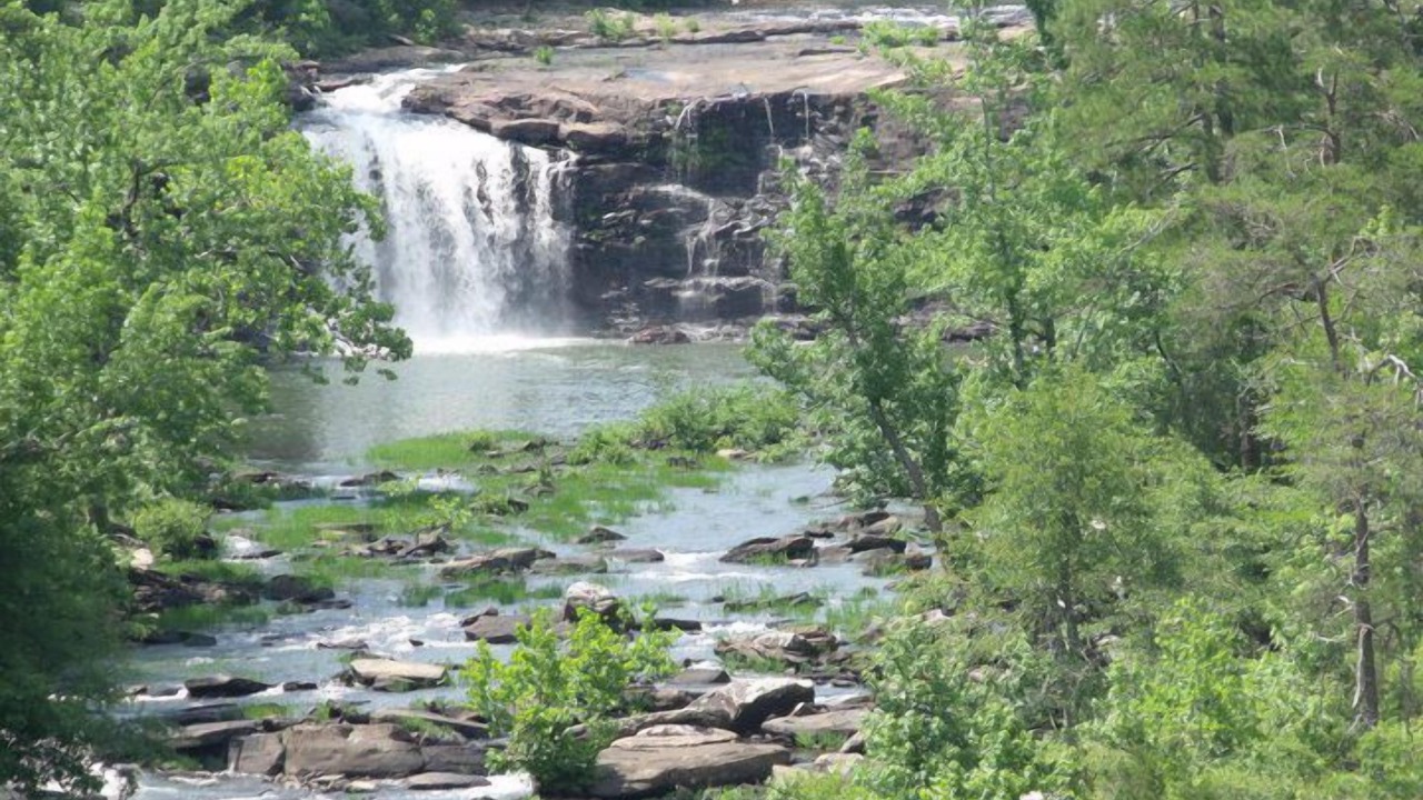 Photo of Others in Mentone