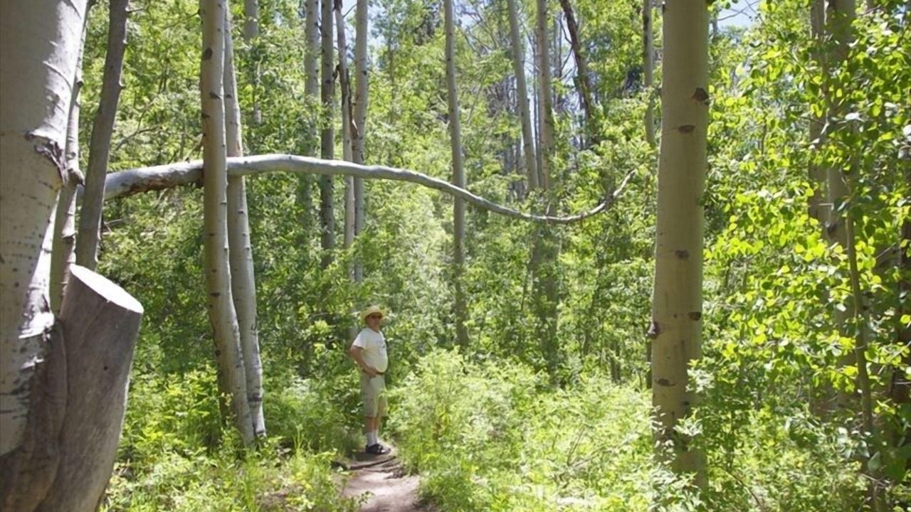 Photo of Outdoor in Incline Village
