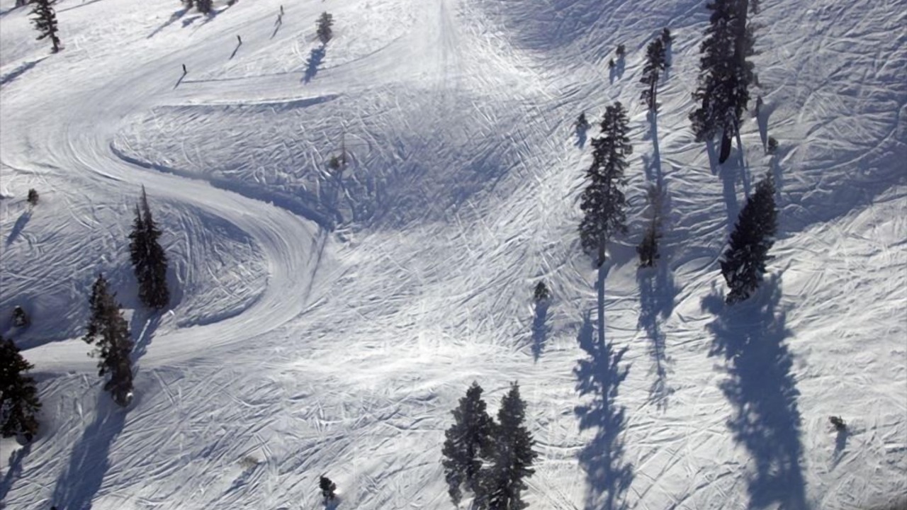 Photo of Others in Incline Village