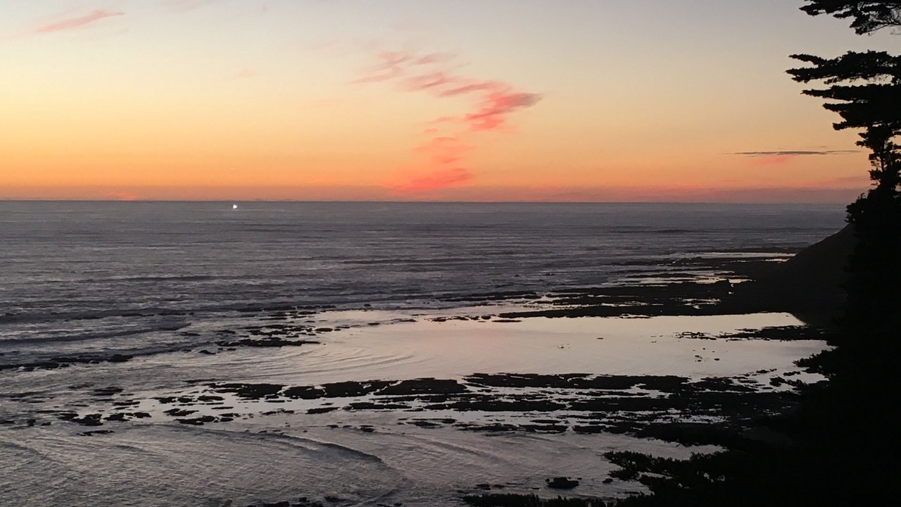 Photo of Others in Bolinas