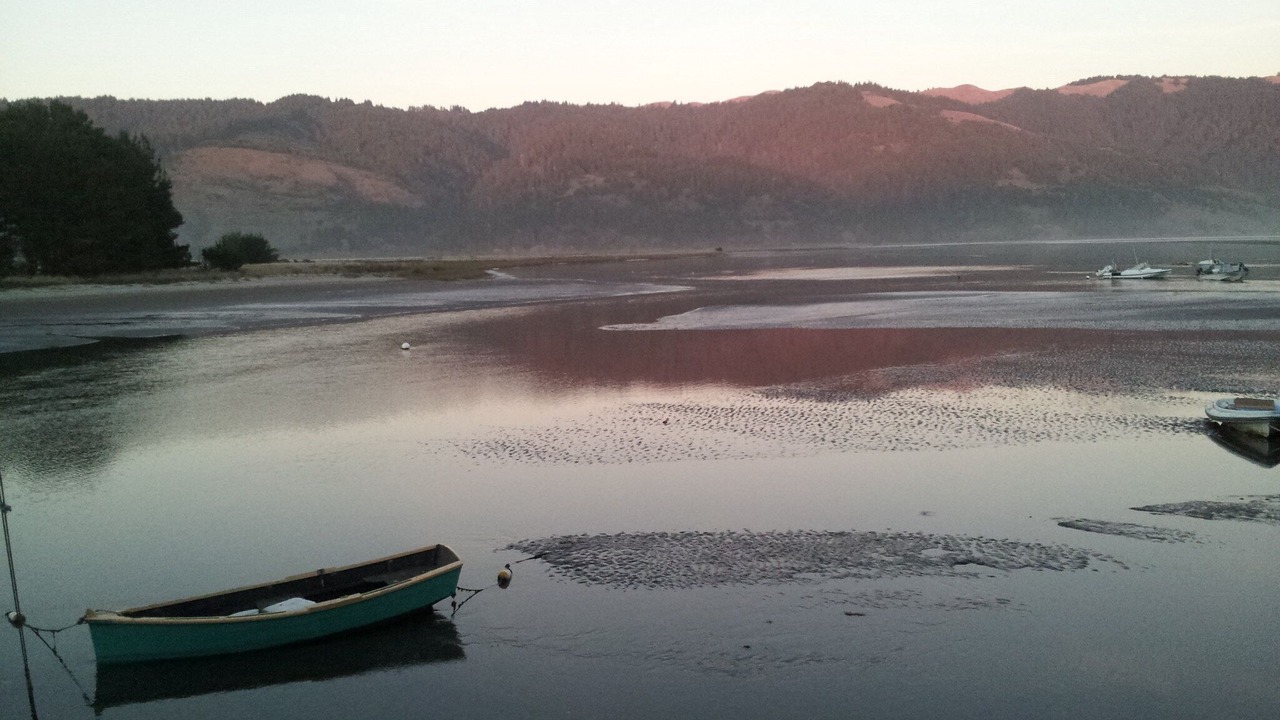 Photo of Others in Bolinas