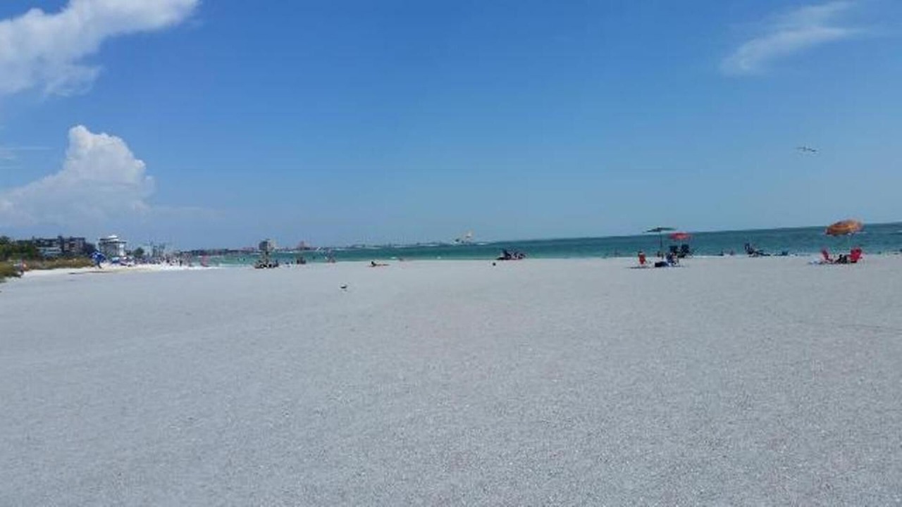 Photo of Others in St. Pete Beach