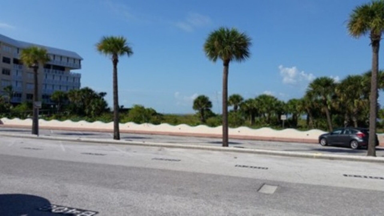 Photo of Others in St. Pete Beach