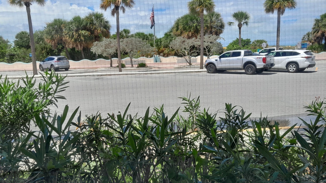 Photo of Others in St. Pete Beach