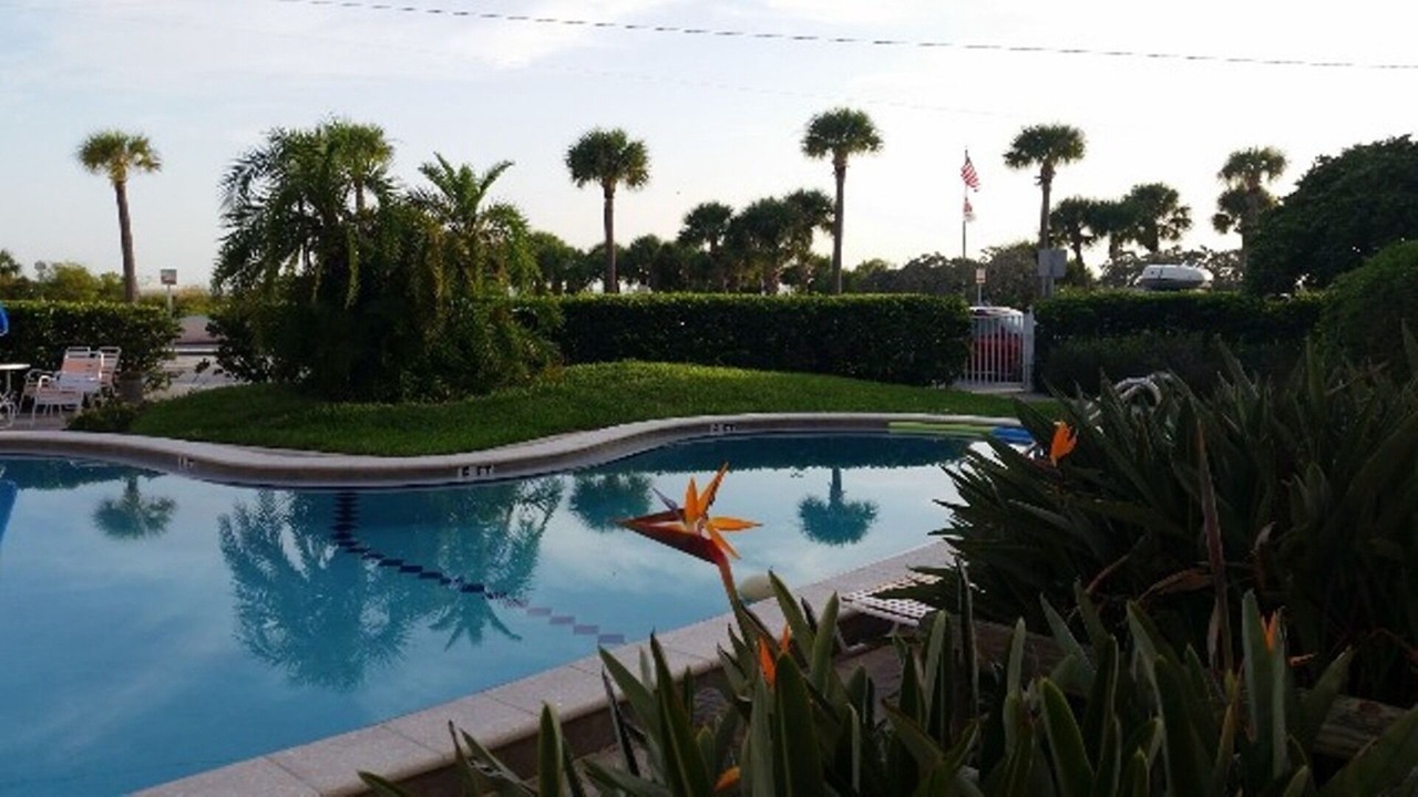 Photo of Outdoor in St. Pete Beach