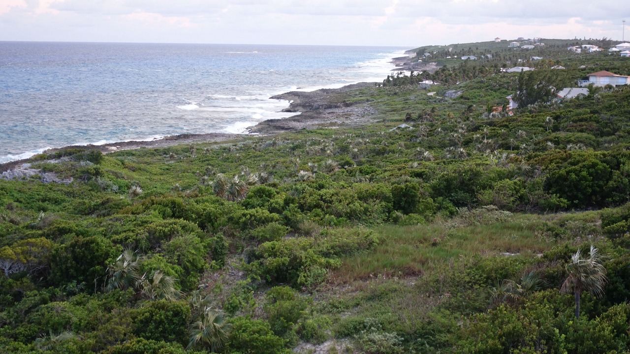 Photo of Others in Stella Maris