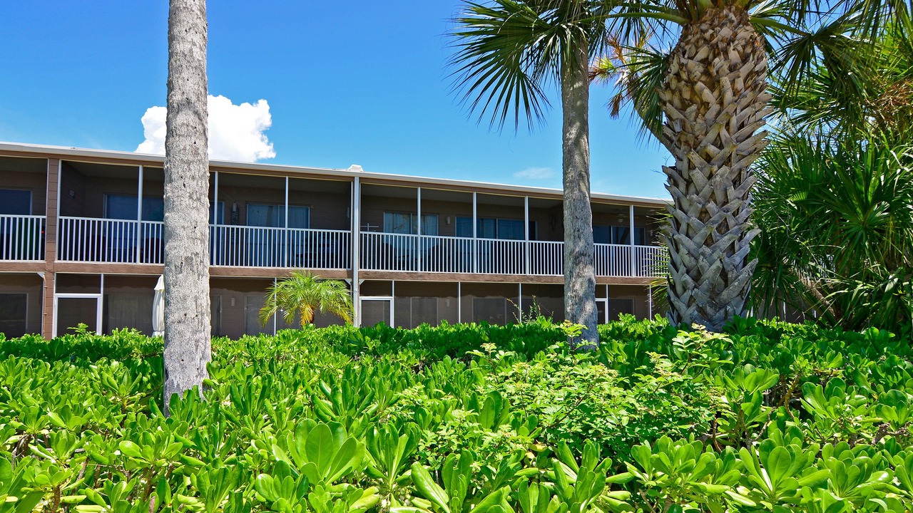 Photo of Outdoor in Longboat Key