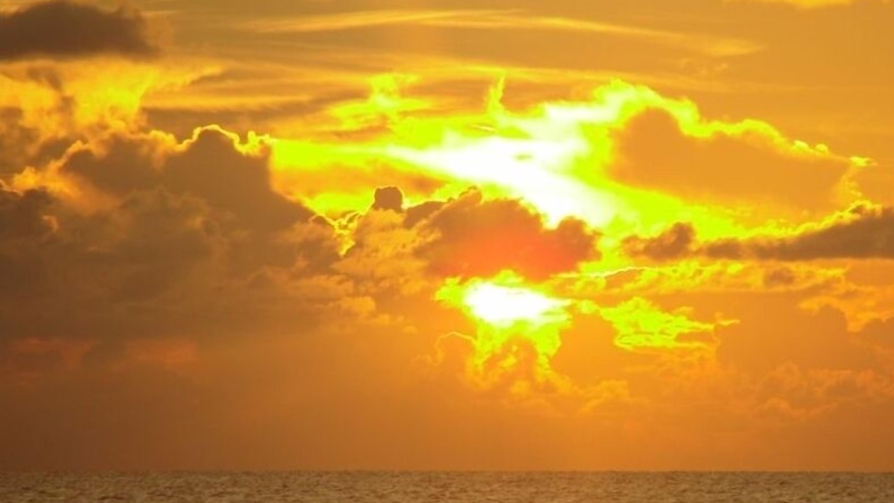 Photo of Others in Longboat Key