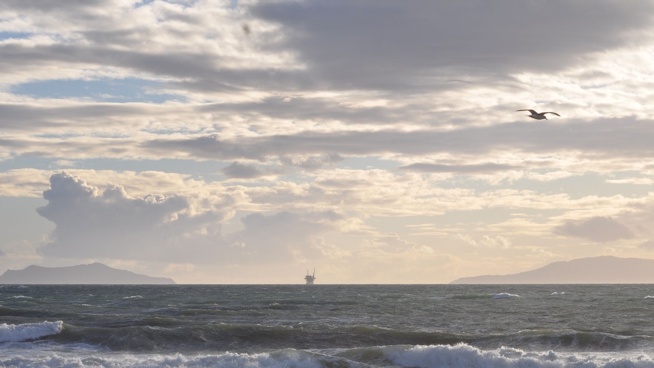 Photo of Others in Silver Strand