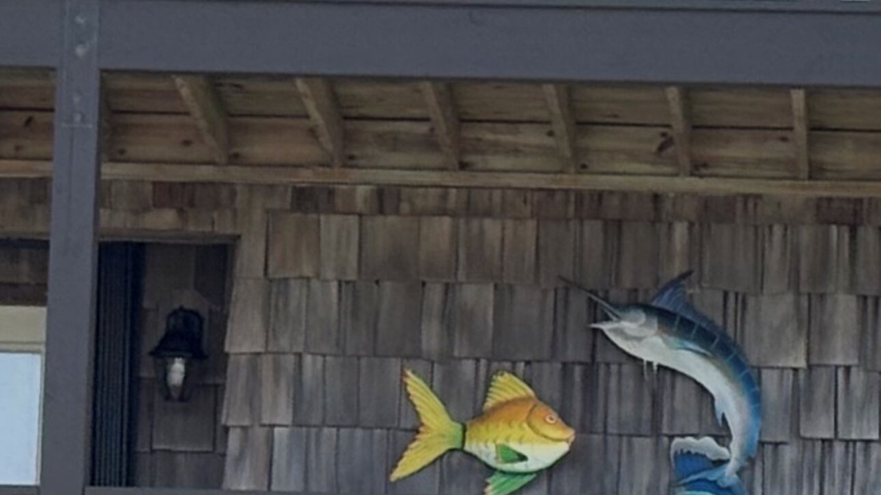 Photo of Outdoor in Emerald Isle