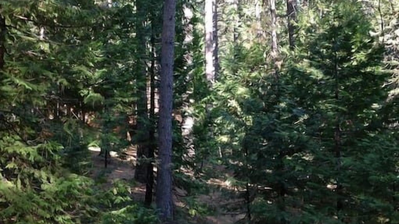 Photo of Others in Arnold