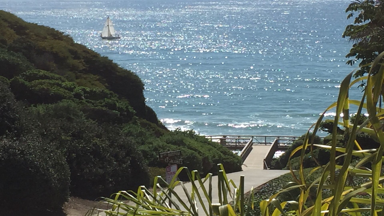 Photo of Others in San Clemente