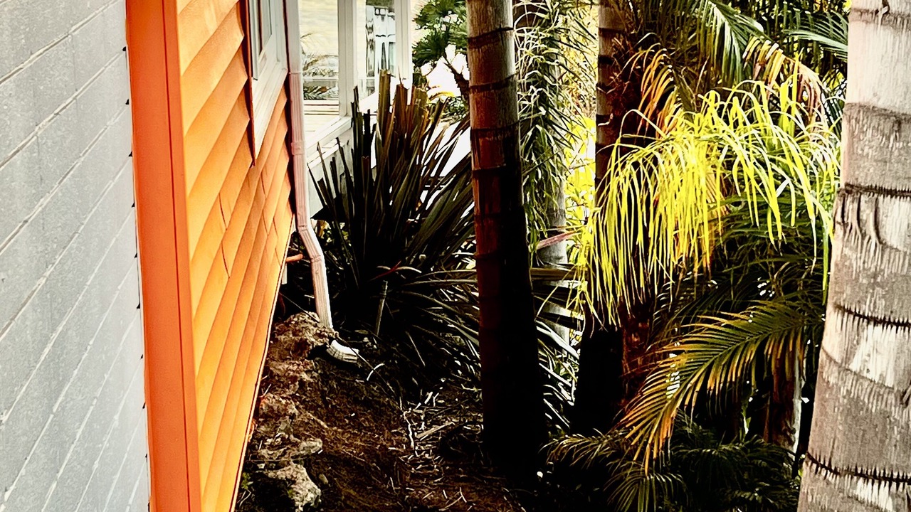 Photo of Outdoor in San Clemente