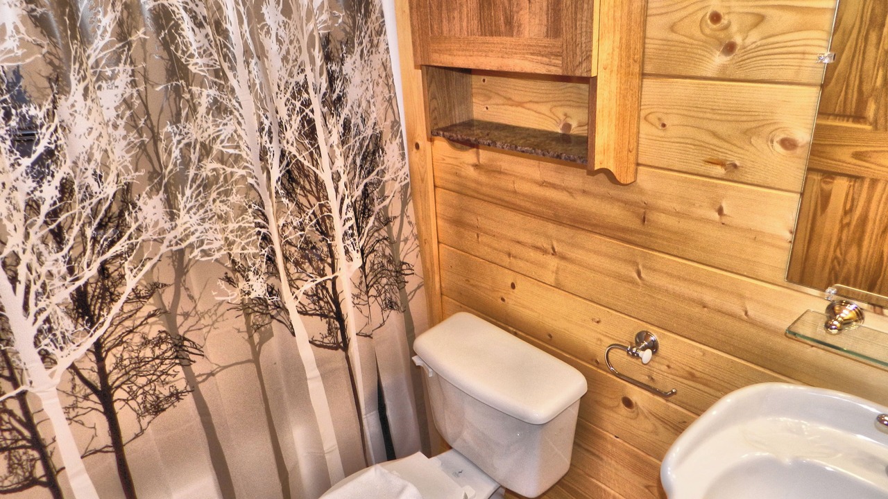 Photo of Bathroom in Pigeon Forge
