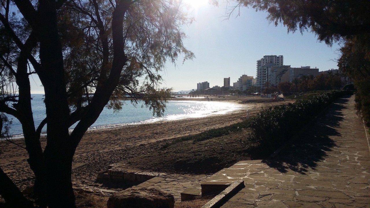 Photo of Others in Vinaros