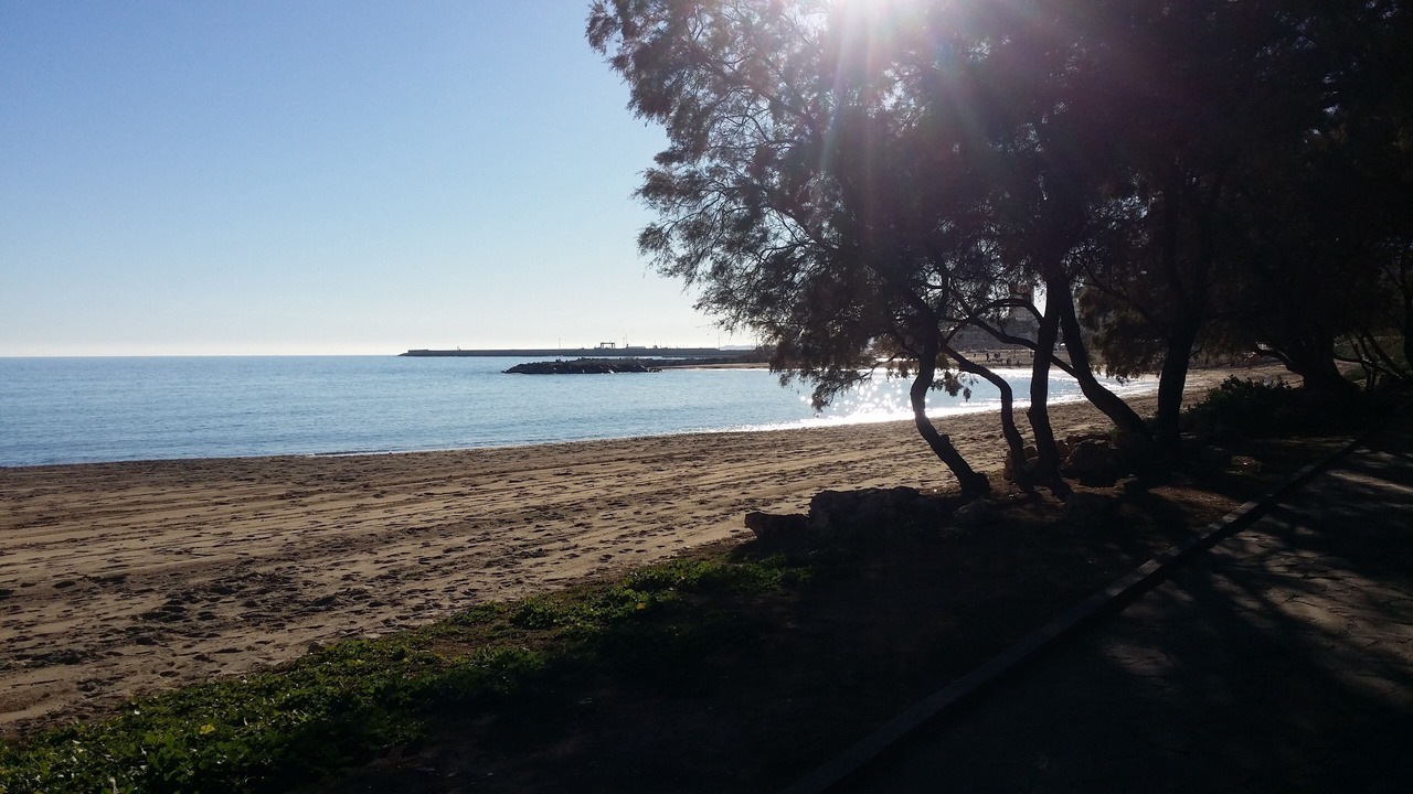 Photo of Others in Vinaros