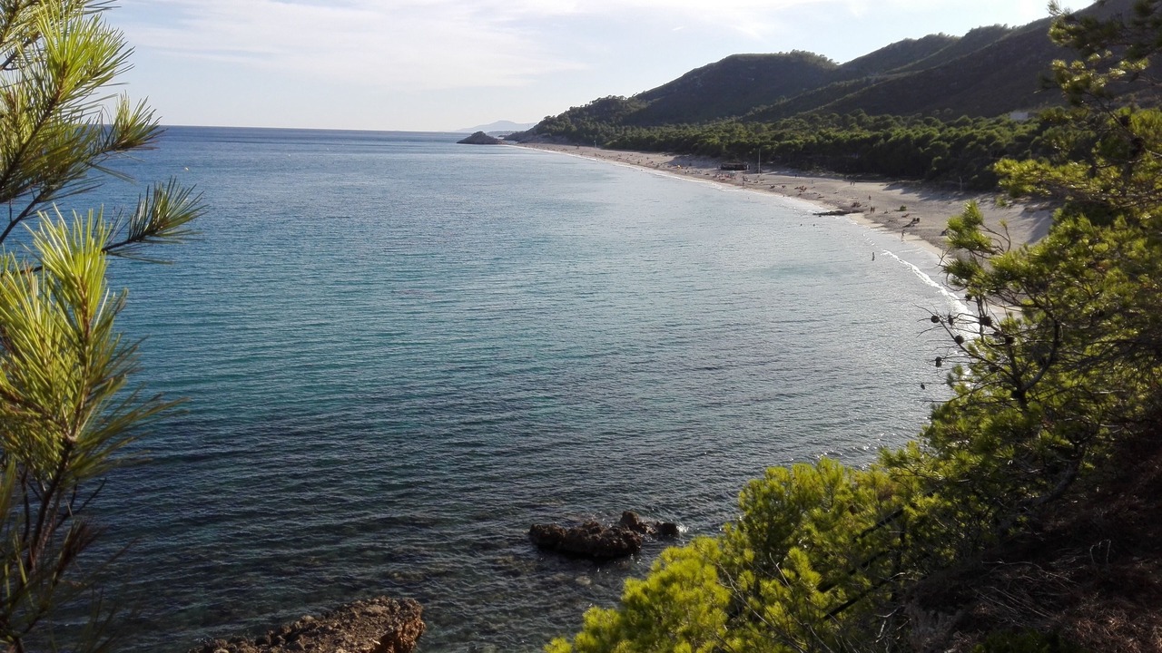 Photo of Others in Miami Platja