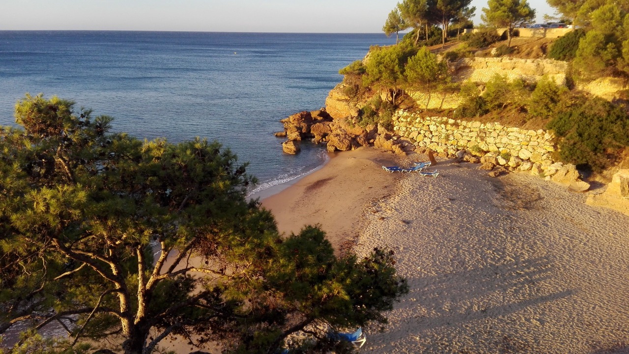 Photo of Others in Miami Platja