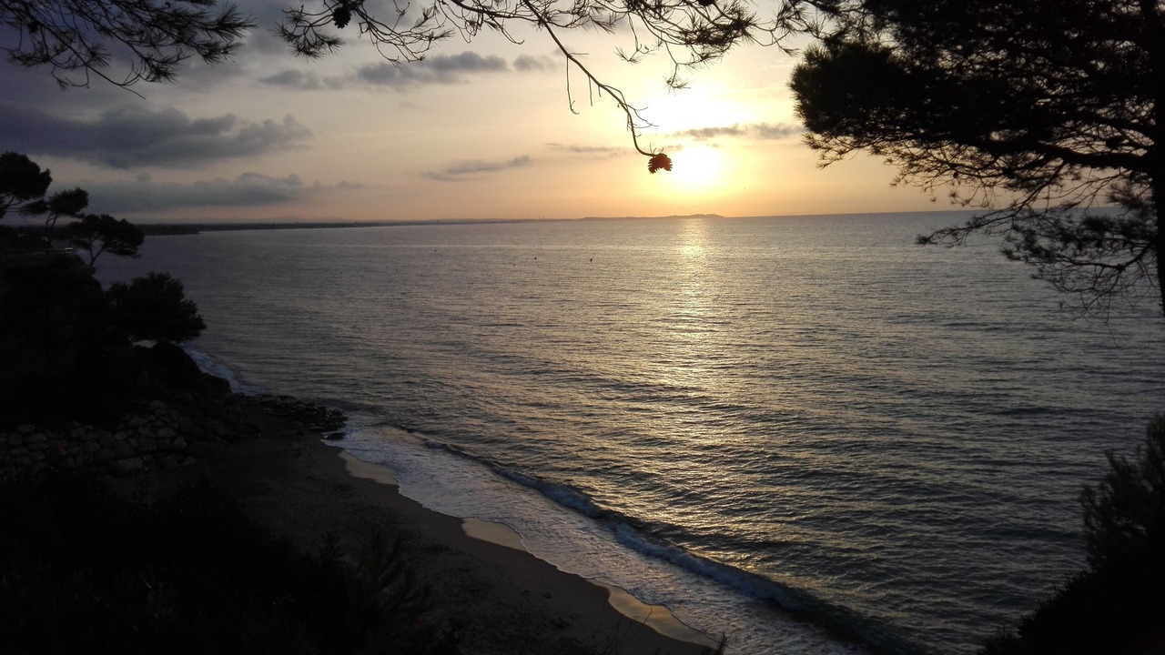 Photo of Others in Miami Platja