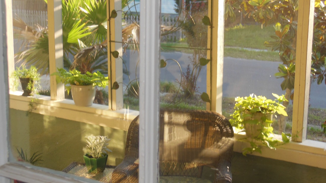 Photo of Outdoor in Biloxi