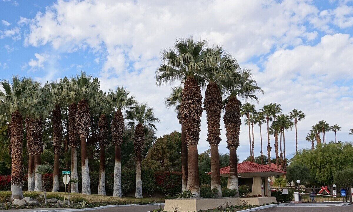 Photo of Others in Palm Springs