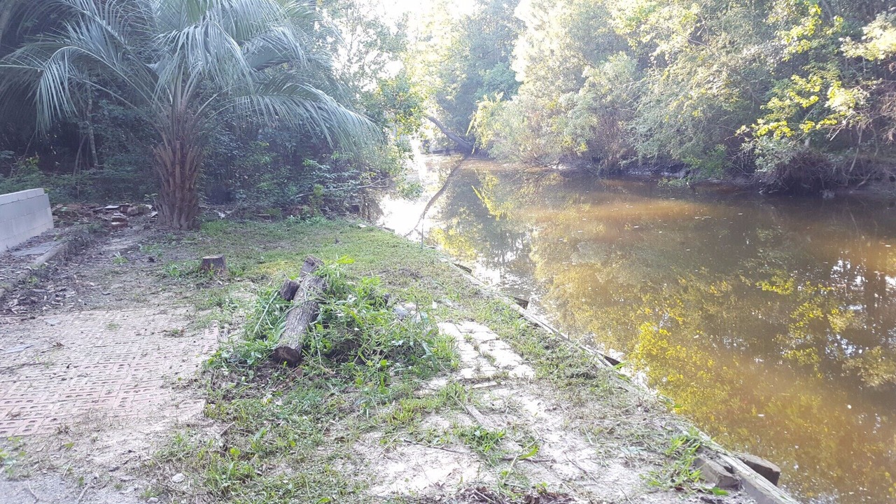 Photo of Others in Gautier