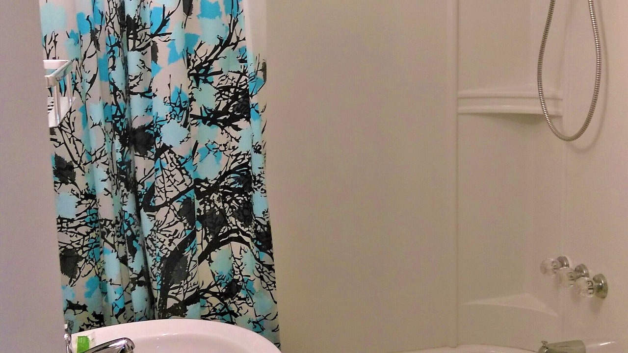 Photo of Bathroom in Highland Lakes