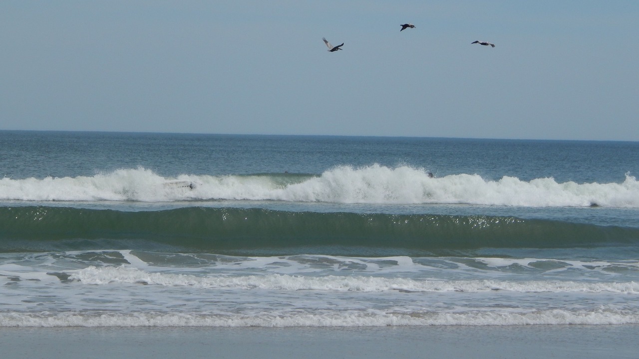 Photo of Others in Wrightsville Beach