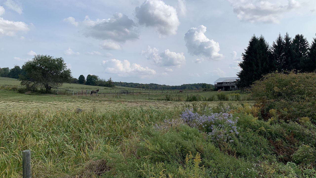 Photo of Others in Cambridge Springs
