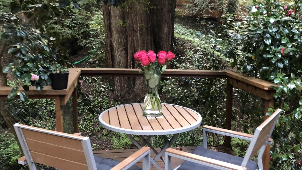 Photo of Others in Mill Valley