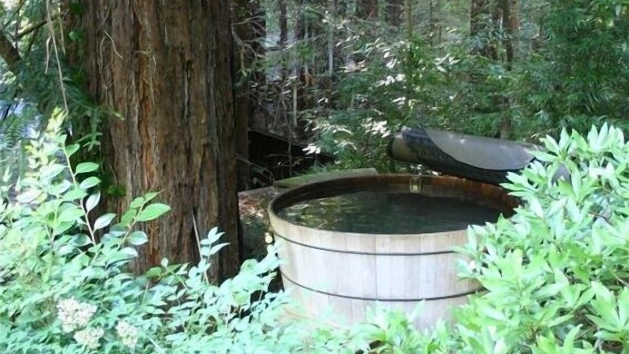 Photo of Others in Mill Valley
