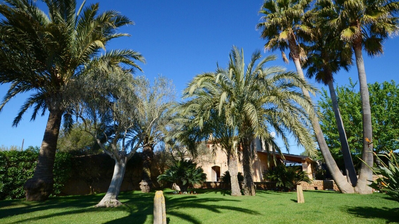 Photo of Outdoor in Inca