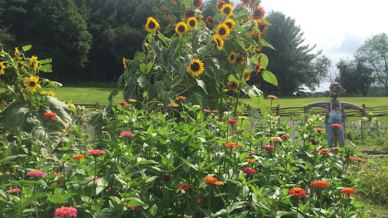 Photo of Outdoor in Jefferson