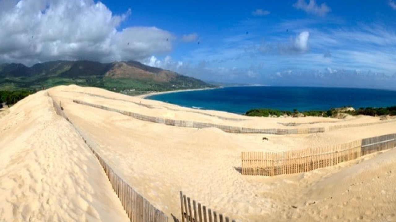 Photo of Others in Bolonia